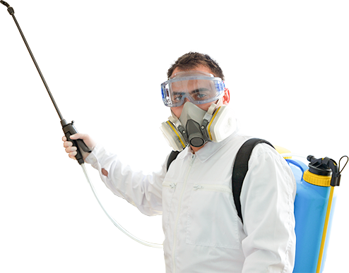 Pest Control Tring: Pest Control Tring