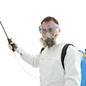 Pest Control Tring: Pest Control Tring